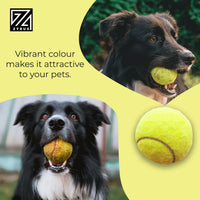 12x Tennis Balls Outdoor Sports Fun Dog Fetch Toy Play Cricket Training Beach UK - ZYBUX