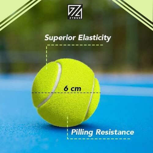 12x Tennis Balls Outdoor Sports Fun Dog Fetch Toy Play Cricket Training Beach UK - ZYBUX