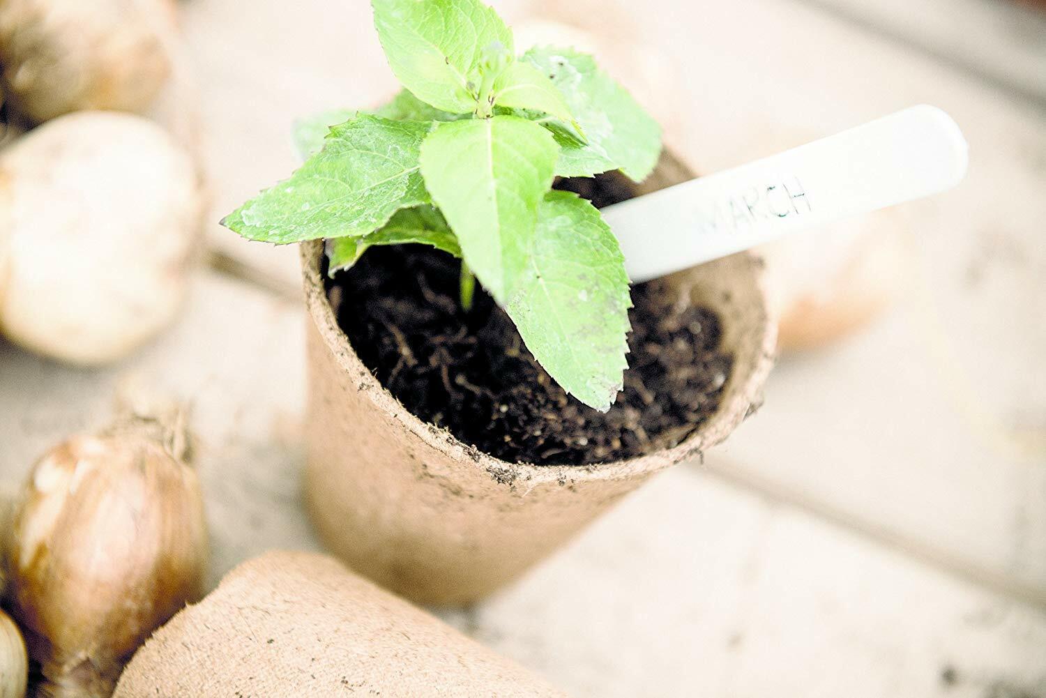 Biodegradable Plant Pots 96pcs Round Fibre Pot Gardening Seedling Nursery Cups - ZYBUX