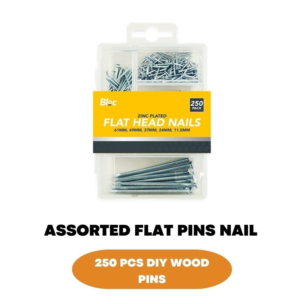 250 Pcs Assorted Flat Head Nails For DIY Wood Carpentry - ZYBUX