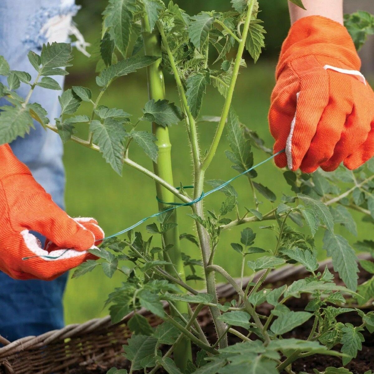 500M Green Garden String Gardening Heavy Duty Plant Support Craft Wrap Twine - ZYBUX