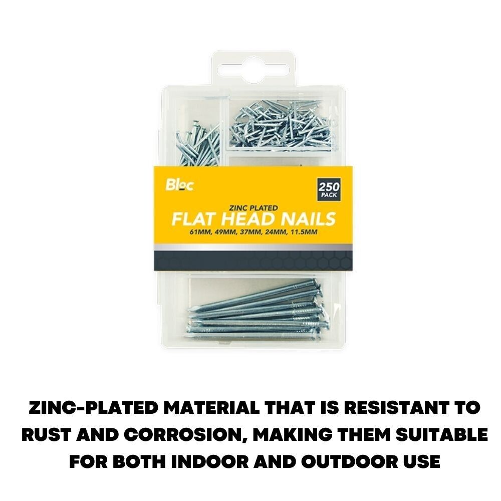 250 Pcs Assorted Flat Head Nails For DIY Wood Carpentry - ZYBUX