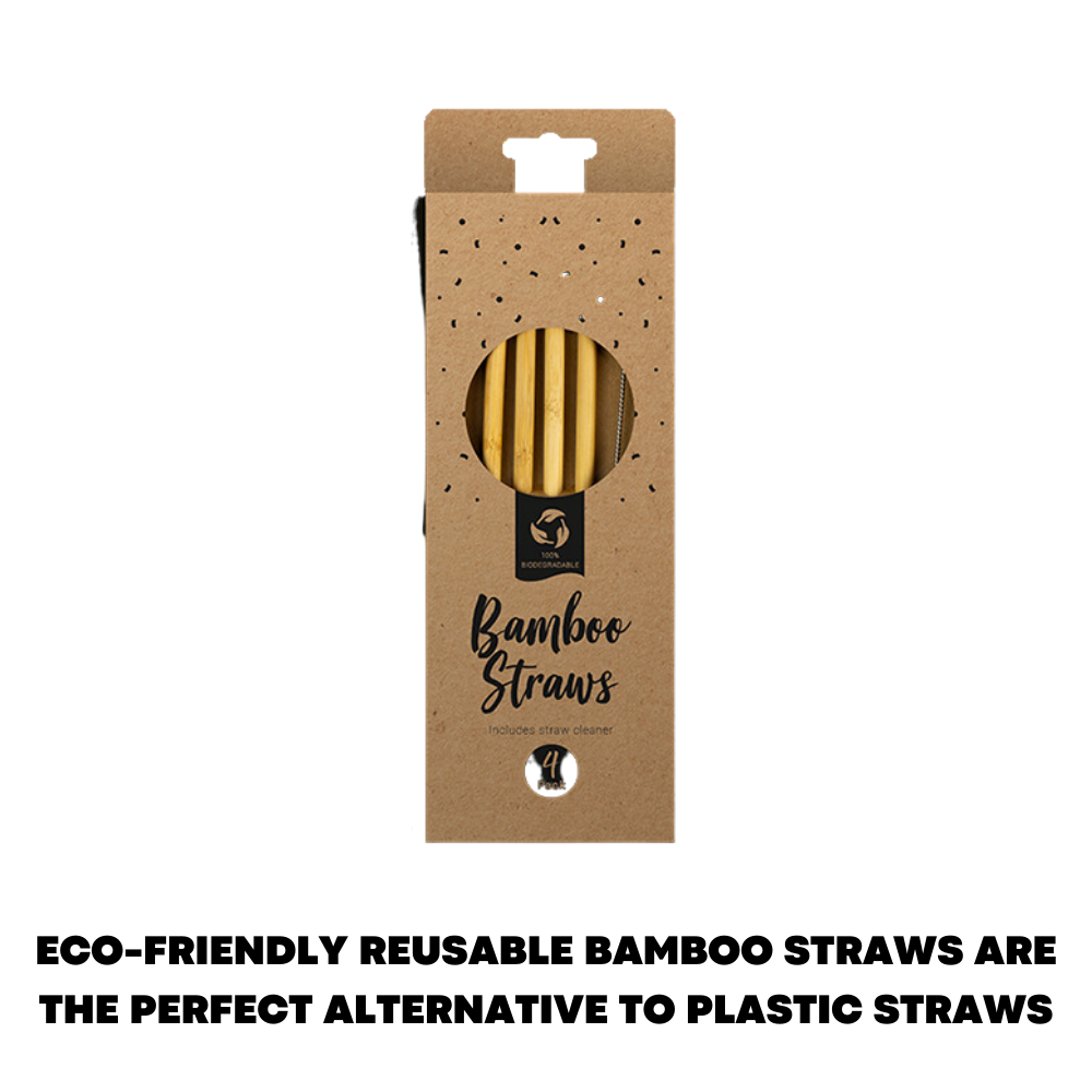 4x Reusable Bamboo Straws Natural & Eco Friendly