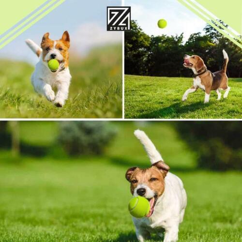 12x Tennis Balls Outdoor Sports Fun Dog Fetch Toy Play Cricket Training Beach UK - ZYBUX