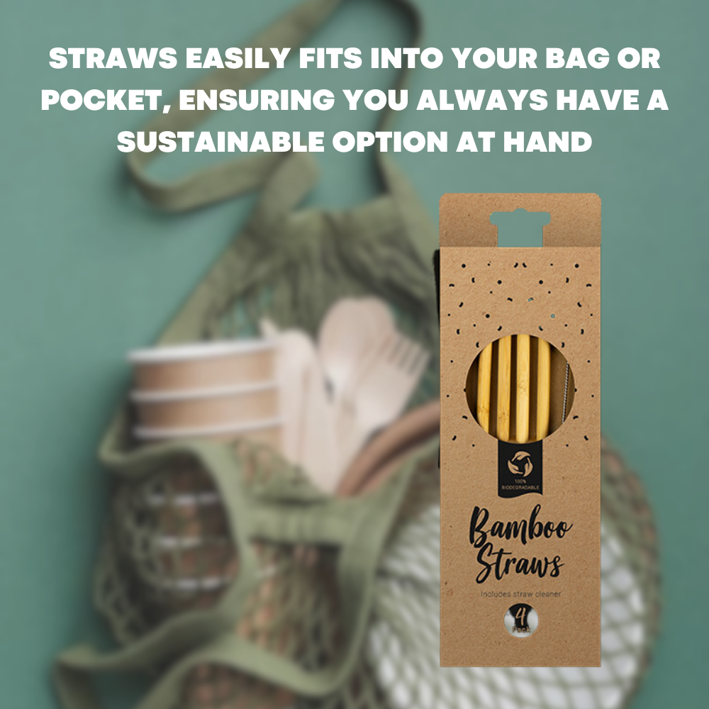 4x Reusable Bamboo Straws Natural & Eco Friendly