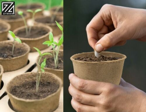 Biodegradable Plant Pots 96pcs Round Fibre Pot Gardening Seedling Nursery Cups - ZYBUX