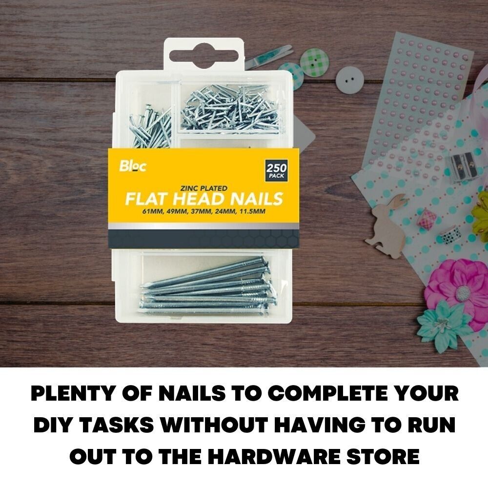 250 Pcs Assorted Flat Head Nails For DIY Wood Carpentry - ZYBUX