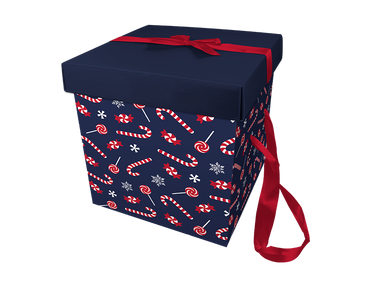 2x Christmas Gift Boxes Bow Xmas Present Ribbon Box Handles Candy 29 x 29cm - ZYBUX