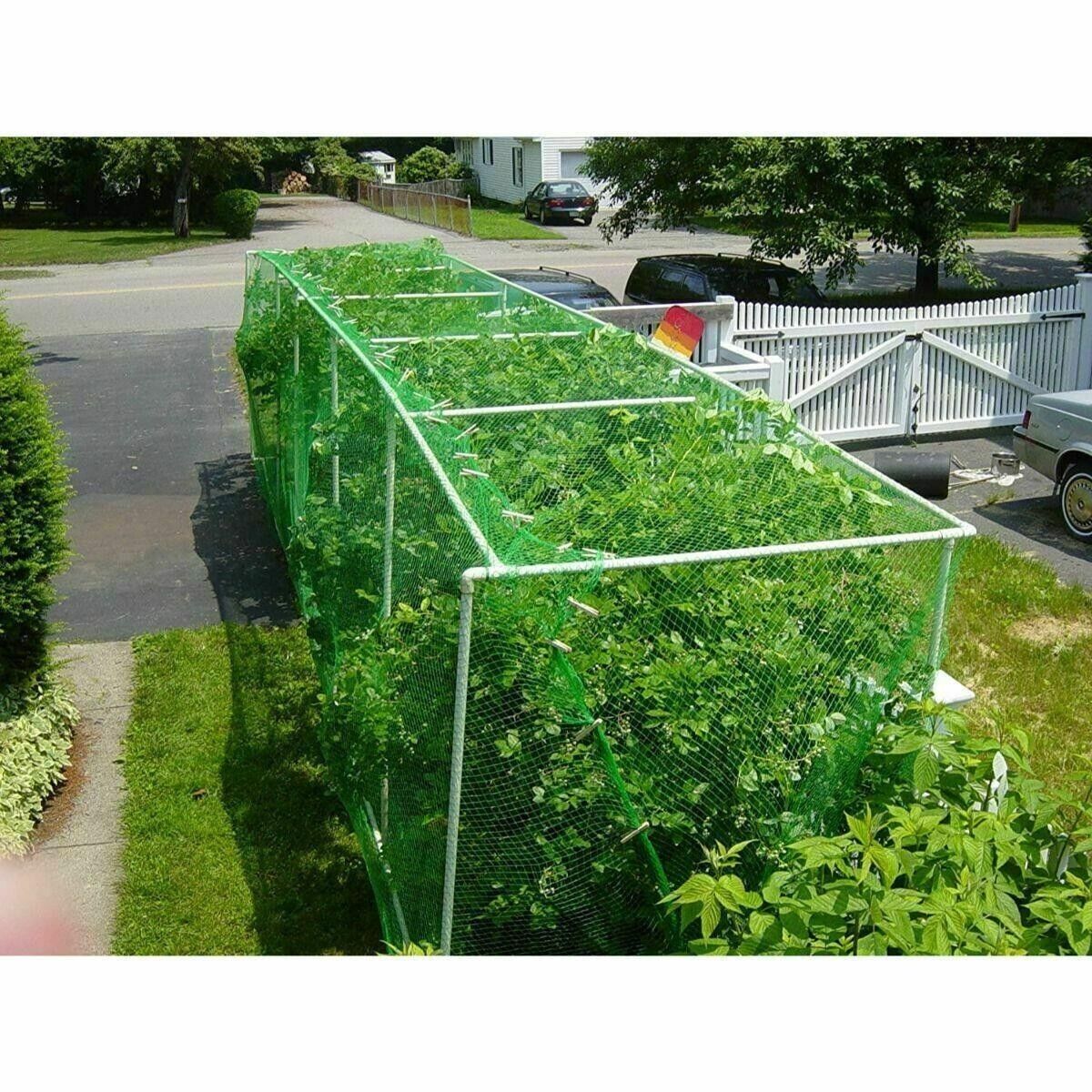 6x Anti Bird Garden Net Pond Netting Plants Crops Protection Veg Fine Mesh 2X10m - ZYBUX