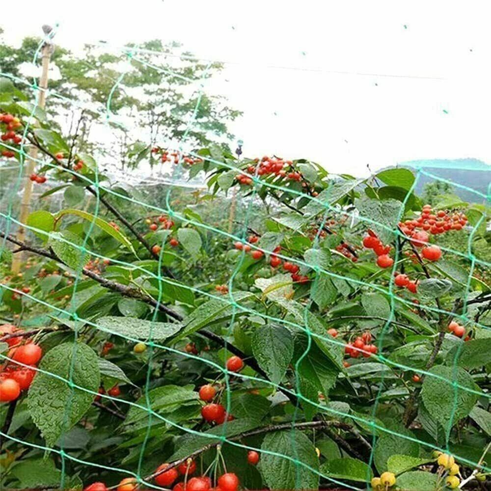 6x Anti Bird Garden Net Pond Netting Plants Crops Protection Veg Fine Mesh 2X10m - ZYBUX