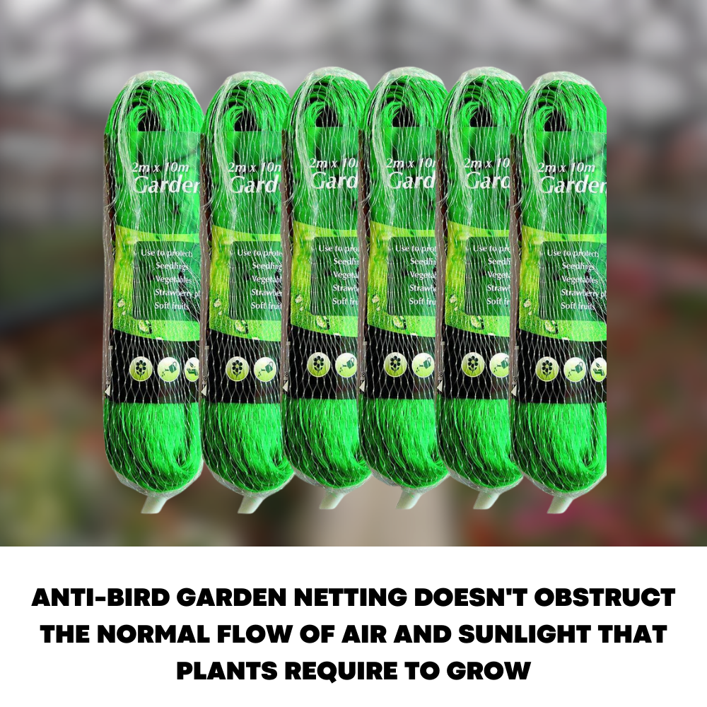 6x Anti Bird Garden Net Pond Netting Plants Crops Protection Veg Fine Mesh 2X10m - ZYBUX