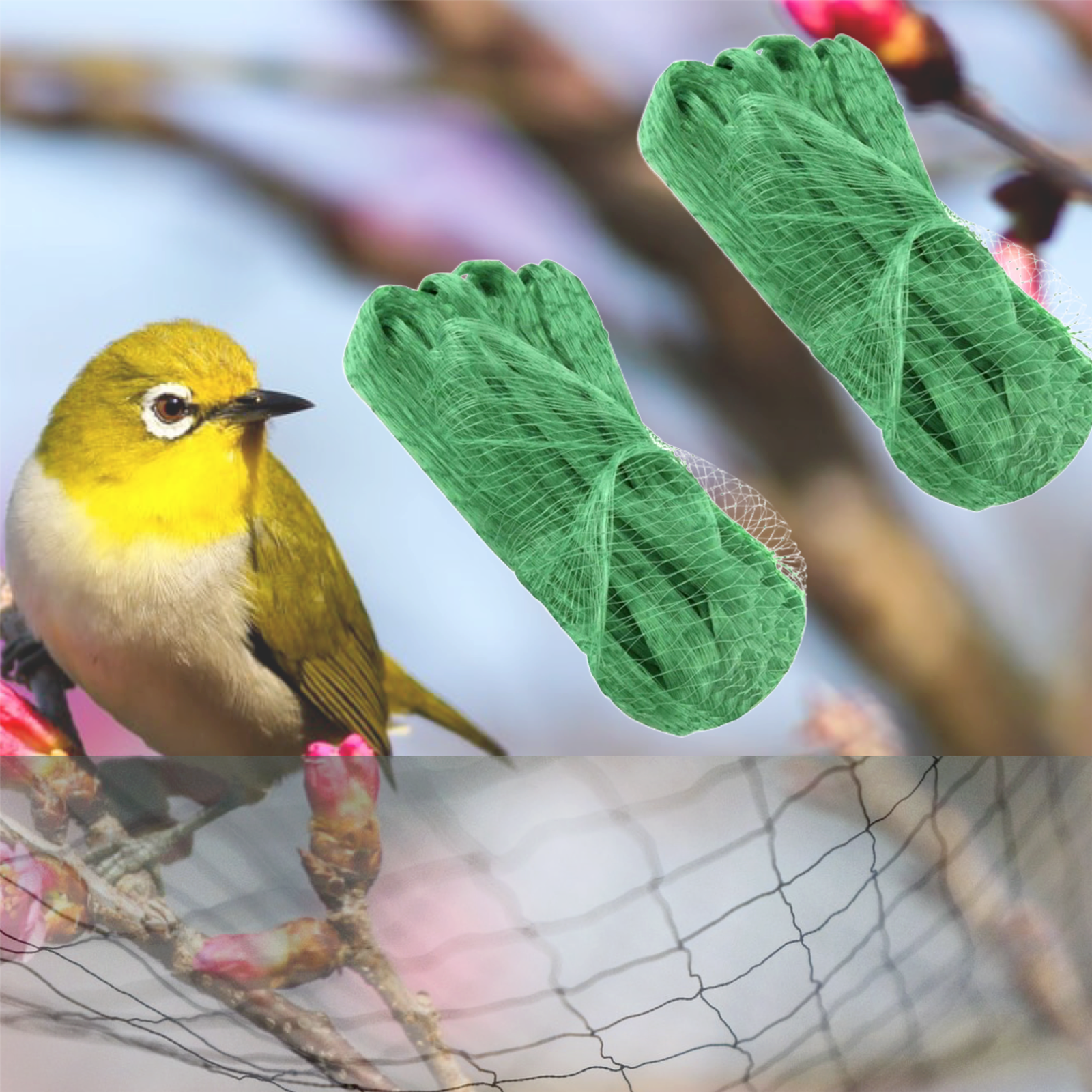 6x Anti Bird Garden Net Pond Netting Plants Crops Protection Veg Fine Mesh 2X10m - ZYBUX