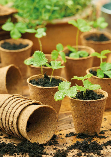 Biodegradable Plant Pots 96pcs Round Fibre Pot Gardening Seedling Nursery Cups - ZYBUX