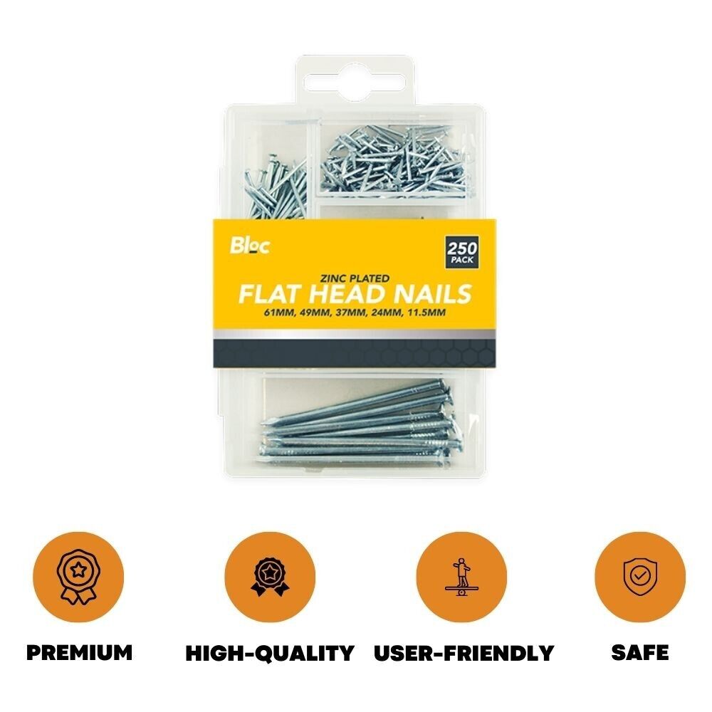 250 Pcs Assorted Flat Head Nails DIY Wood Carpentry Professional Metal Pins Nail