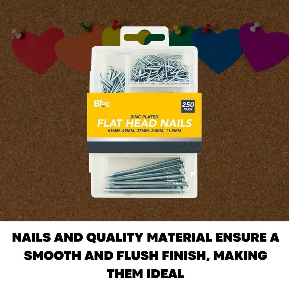 250 Pcs Assorted Flat Head Nails DIY Wood Carpentry Professional Metal Pins Nail