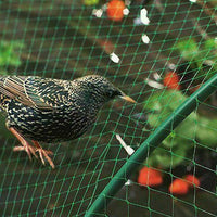 Anti Bird Pond Netting Net Plants Veg Fruit Protection Garden Fine Mesh 2m X 10m - ZYBUX