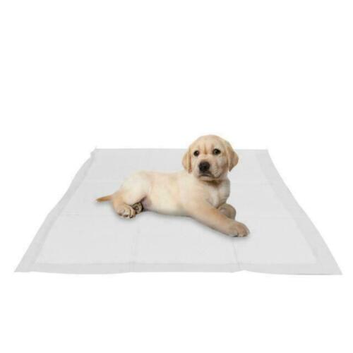 5 PUPPY PET TRAINING WEE PEE TOILET PADS PAD FLOOR MATS DOG CAT 57 X 57cm - ZYBUX