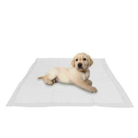 5 PUPPY PET TRAINING WEE PEE TOILET PADS PAD FLOOR MATS DOG CAT 57 X 57cm - ZYBUX